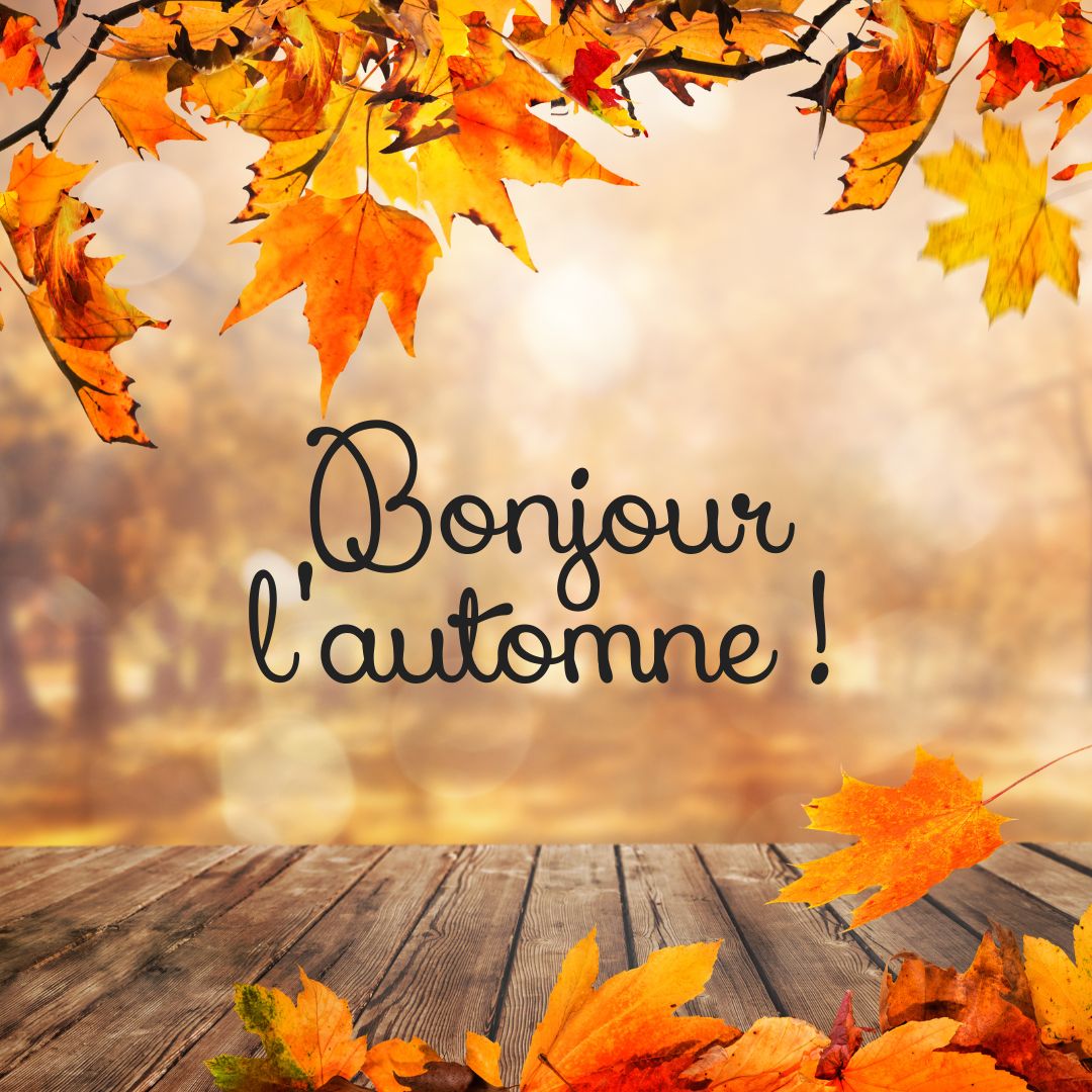 Les habitudes et rituels d’Automne qui font du bien